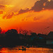 			<p><a href="https://www.flickr.com/people/rambonp_npsingh/">Rambonp/NPSingh:loves all creatures of this univer</a> posted a photo:</p>
	
<p><a href="https://www.flickr.com/photos/rambonp_npsingh/55579516627/" title=""><img src="https://live.staticflickr.com/65535/55579516627_3ccd9ec1e7_m.jpg" width="240" height="121" alt="" /></a></p>


