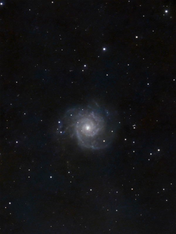 M74