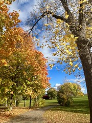Fall splendour  (由  angelinas