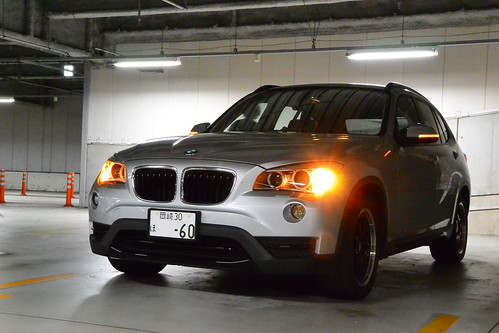 BMW X1 (E84) xDrive 20i Sport