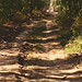 IMG_20260927_122322_edit_173504193919438
