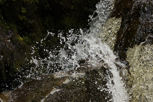Splash