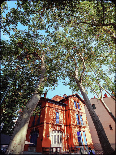 Céret