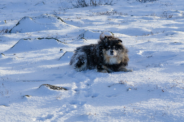 DSC_9698