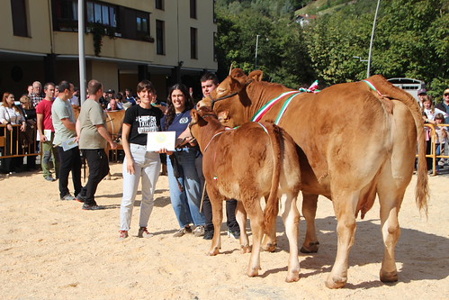 42. Urriko Azoka Nagusia, Markina-Xemein