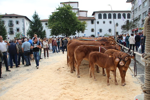 42. Urriko Azoka Nagusia, Markina-Xemein