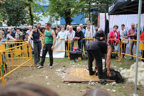42. Urriko Azoka Nagusia, Markina-Xemein