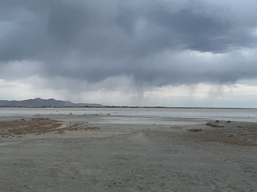 Mudflats