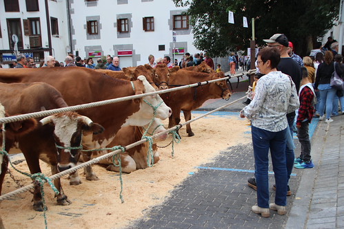 42. Urriko Azoka Nagusia, Markina-Xemein