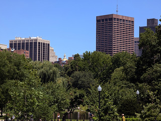 City Oasis