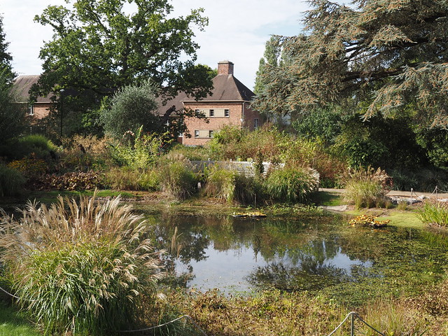 Bristol University Botanic Garden