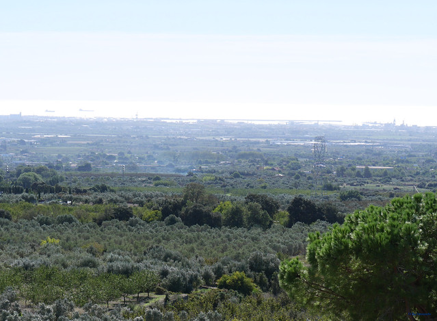 Ruta 01 - Ruta Miradores 01 - Almoster -04- Mirador del Teatro -02- Panorámica 05 Tarragona (08-10-2026)