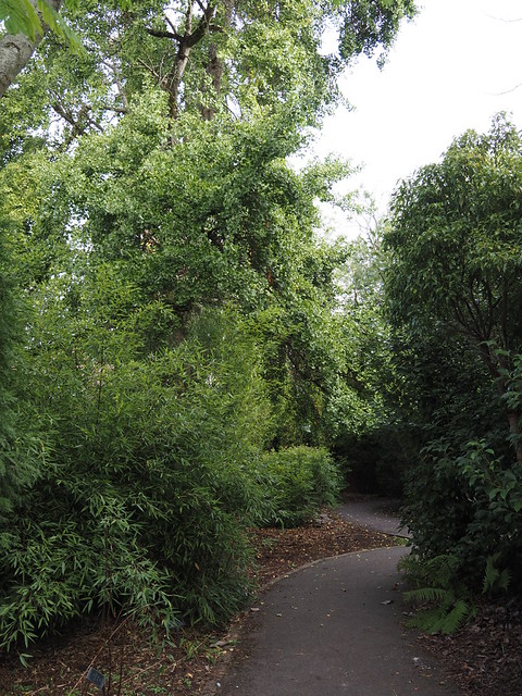 Bristol University Botanic Garden