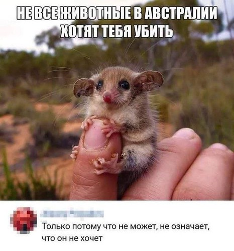 Гумор 20