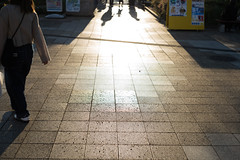 SUNSET STREET