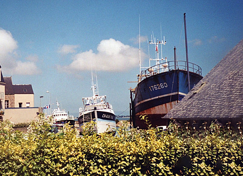 Trawlers in tne city