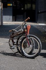 *BIKE FRIDAY* new world tourist