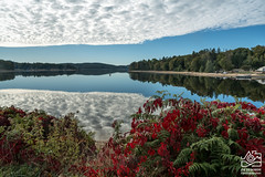 " The fisherman on the lake..."