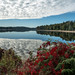 " The fisherman on the lake..."
