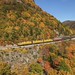 Scenic Train Sunday