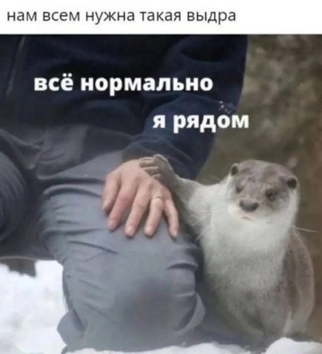 Гумор 20