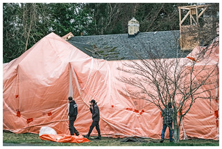 358 arnold avenue (february 19, 2025)