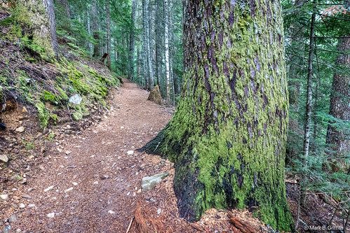 Annette Lake Trail