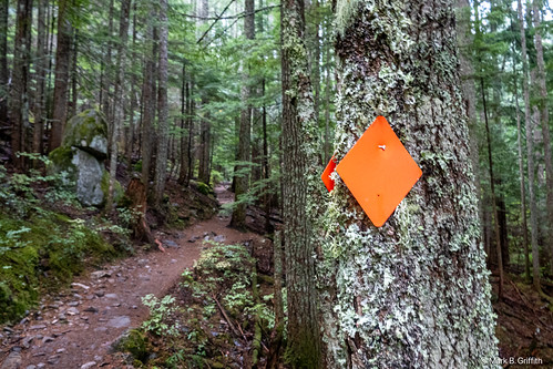 Annette Lake Trail