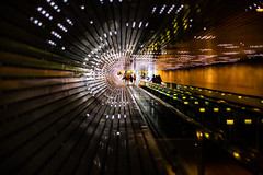 Multiverse