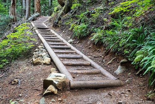 Annette Lake Trail