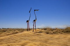 desert uplands - jabiru sculpture