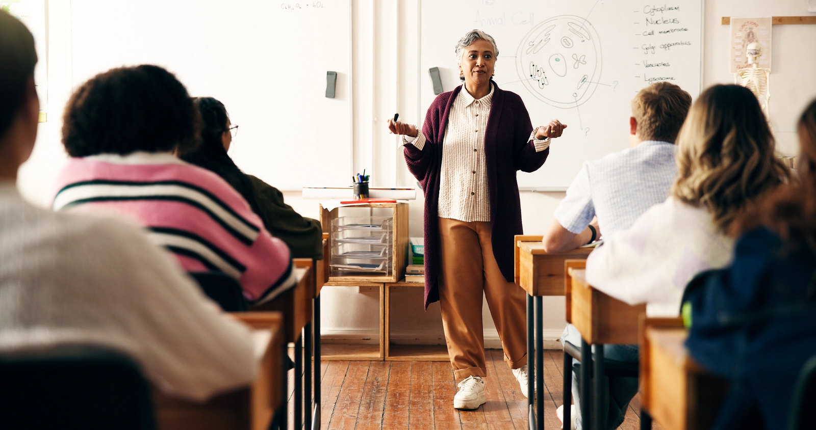 educator in classroom