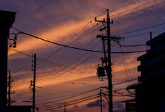 Good Night Takayama
