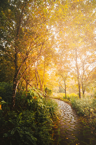 Pathway | by JR Marquina