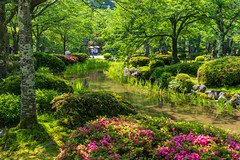 兼六園