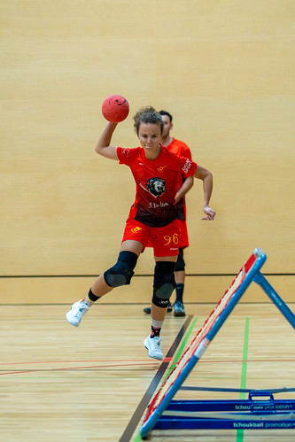 Carouge Lions – Delémont Thunder | Ligue B 26-27 Carouge Lions – Delémont Thunder | Ligue B 26-27