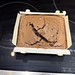 Alsa Brownies Chocolate