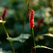 261012_MüGa_herbstspaziergang-0242.jpg