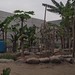 IMG_20261011_153738
