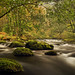 			<p><a href="https://www.flickr.com/people/d-massey/">Dave Massey Photography</a> posted a photo:</p>
	
<p><a href="https://www.flickr.com/photos/d-massey/55586153810/" title="Moss on the Rocks"><img src="https://live.staticflickr.com/65535/55586153810_f7caafe397_m.jpg" width="240" height="96" alt="Moss on the Rocks" /></a></p>

<p>Early autumn colours around the River Rothay.<br />
<br />
Lake District, Oct 2026</p>
