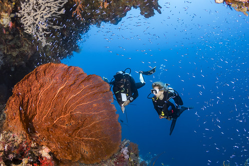 Wakatobi