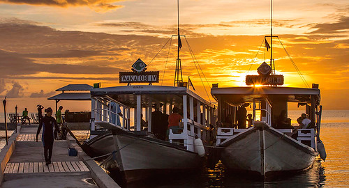 Sunset diving edit_Wayne Osborn