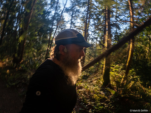 Light Beard