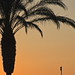 			<p><a href="https://www.flickr.com/people/8179377@N08/">immprest</a> posted a photo:</p>
	
<p><a href="https://www.flickr.com/photos/8179377@N08/55587242908/" title="Kreta 2026 008"><img src="https://live.staticflickr.com/65535/55587242908_11d70586fc_m.jpg" width="111" height="240" alt="Kreta 2026 008" /></a></p>



