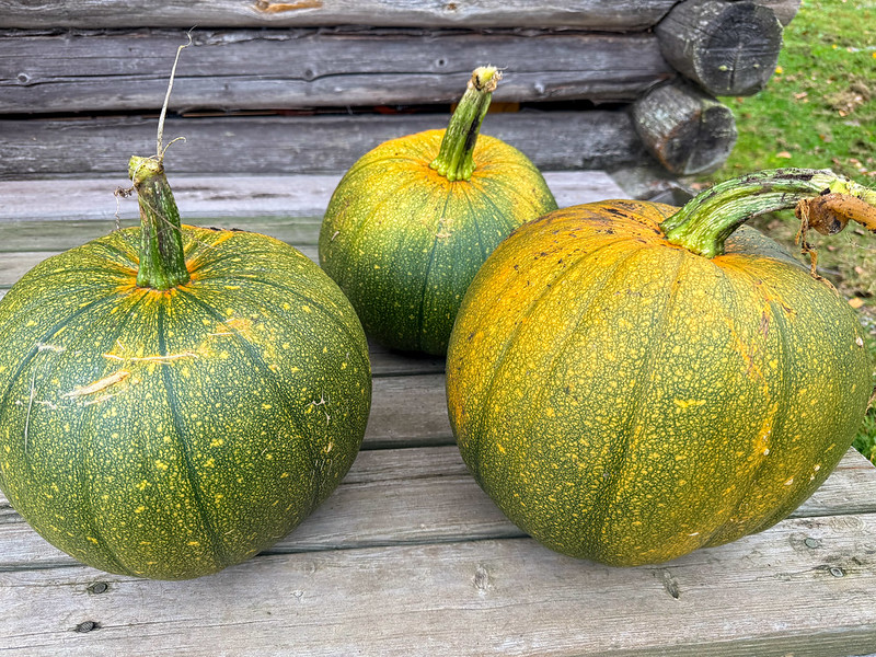 For pumpkin carving