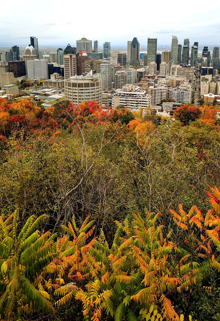 A photograph taken near Montréal & nearby Québec alternatives on Oct 13, 2026.