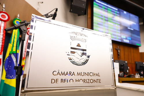 88ª Reunião Ordinária - Plenário