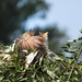 DSCN3137.jpg