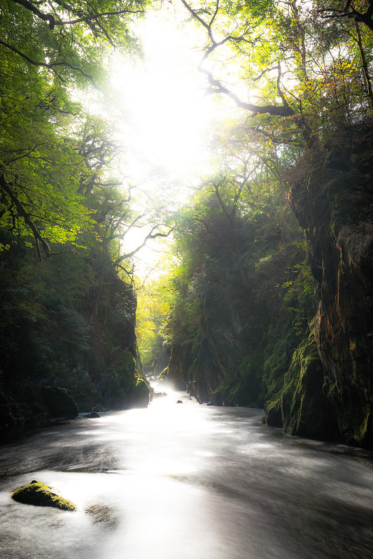 The Fairy Glen