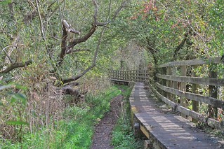 Flickr photo: Marsh Lane Nature Reserve 10th October 2026
